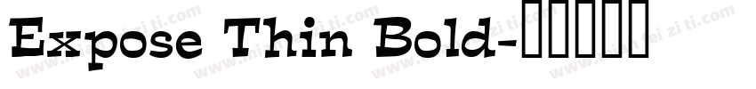 Expose Thin Bold字体转换